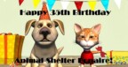 Animal Shelter Bonaire 35th birthday celebration