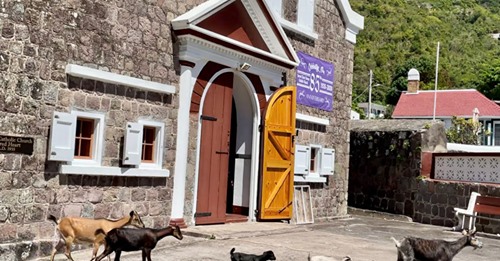 Assistance for Saba’s goat owners