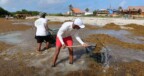 Large-scale Sargassum Influx Threatens Bonaire's costs again