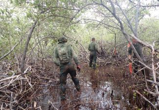 Dutch Soldiers help Mangrove Maniacs in Bonaire