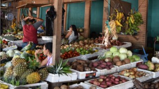 More Attention needed for Caribbean Food Production