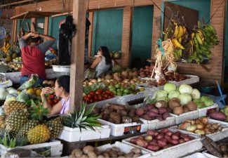 More Attention needed for Caribbean Food Production