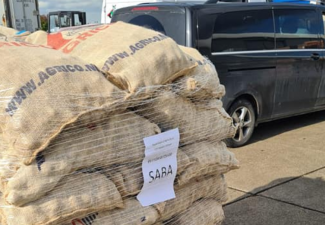 Saba to soon receive Dutch Patatoe seeds