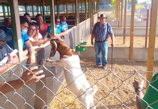 Succesful Goat Farming training Bonaire wrapped up