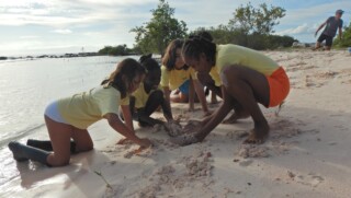 Mangrove Maniacs plant record-breaking 1,300 mangroves on Friday